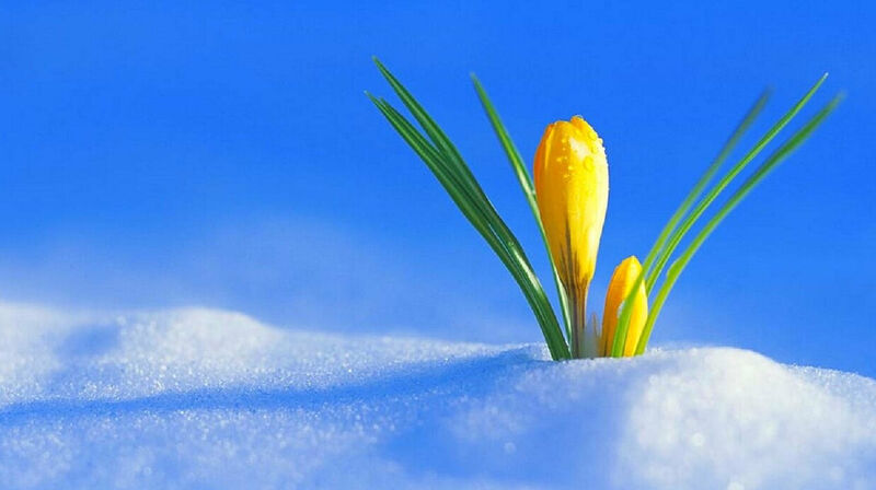 Какой будет весна, рассказали в «Казгидромете»