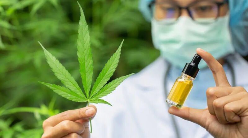 Медицинский каннабис легализовали в Украине: Зеленский подписал закон