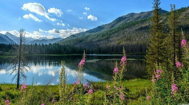 Телепремьера шоу «Орёл и Решка. Казахи», посвящённая Катон-Карагаю, состоится сегодня