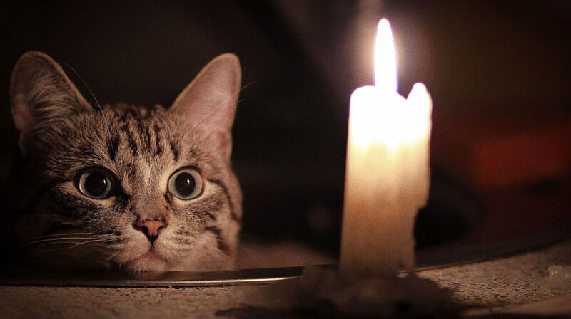 Сколько еще не будет света в Алмалинском районе Алматы, рассказали в акимате