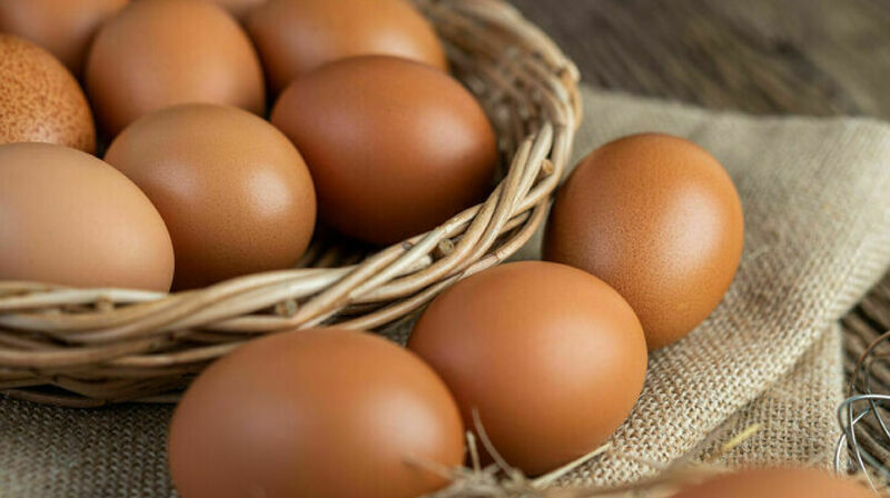 В Казахстан запретят завозить яйца на автомобилях