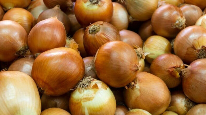 5 миллионов тенге взял мошенник у иностранца, пообещав поставить семена лука