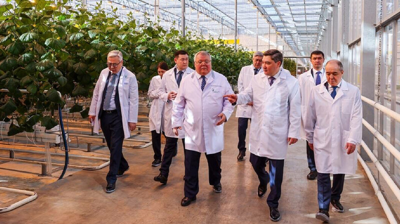 Премьер-министр поручил увеличить количество сельхозпродукции на отечественном рынке