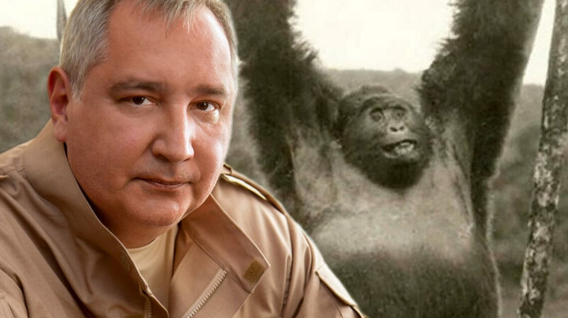 Бывший глава «Роскосмоса» Рогозин сравнил министра обороны США с гориллой