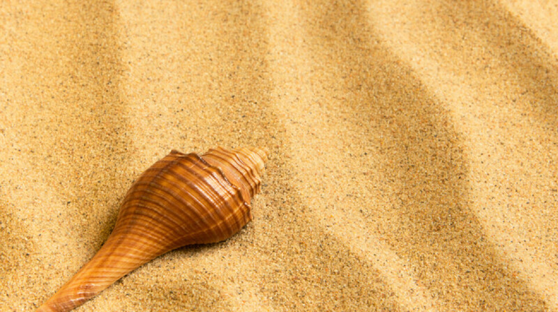 Двоих детей засыпало песком на пляже во Флориде