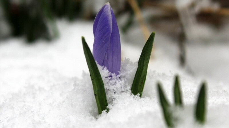 В Казахстане сегодня без осадков, на Востоке - мороз