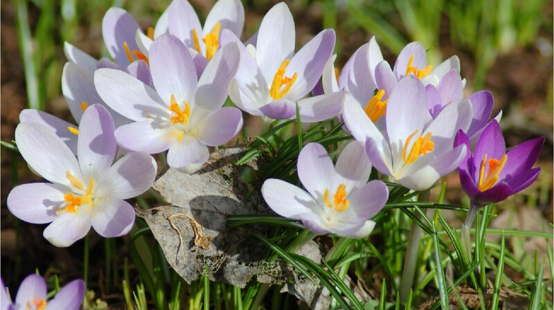 Казахстанцам рассказали, какая погода будет в марте