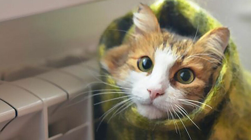 Жители пригорода Алматы остались без тепла и горячей воды