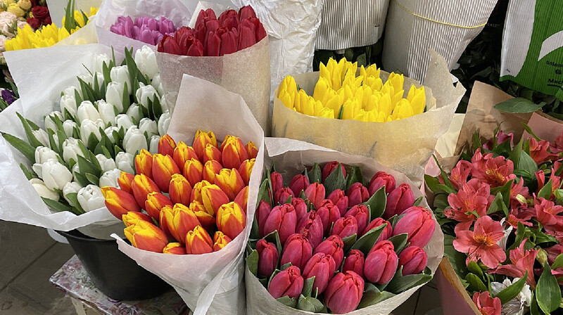 Тонны тюльпанов: Алматы накрыла цветочная лихорадка