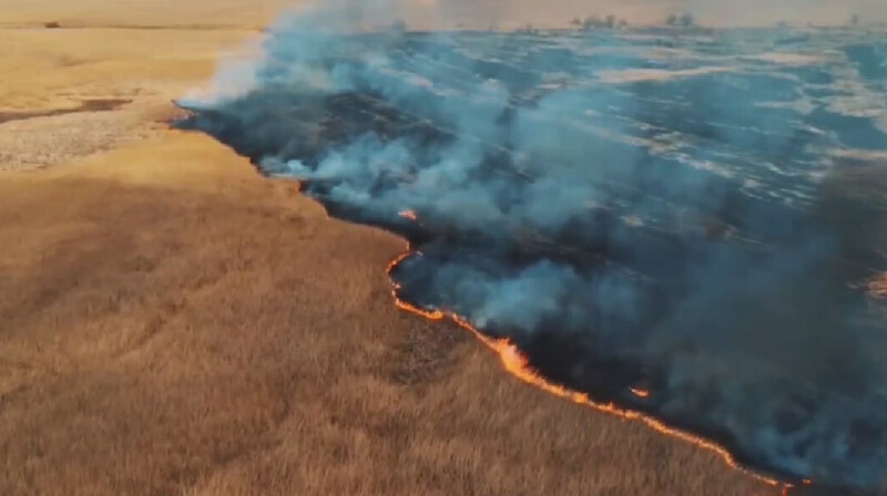 Пожар на побережье Каспийского моря потушили спустя неделю