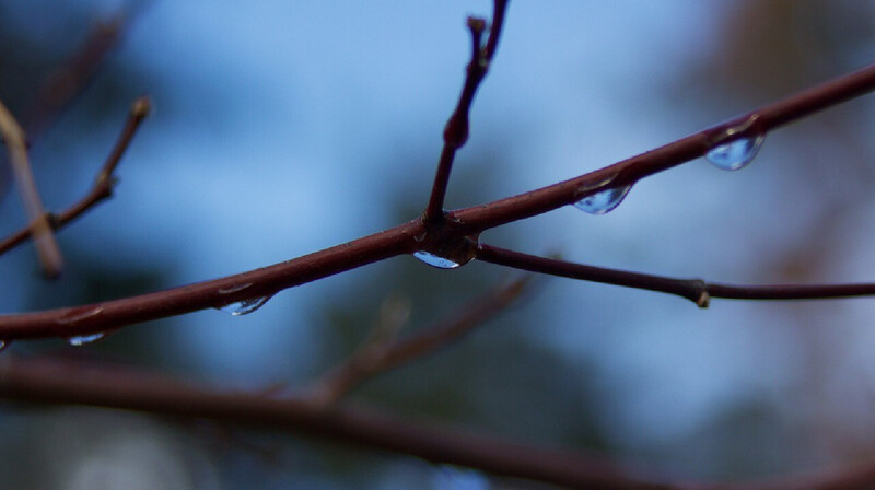 Во многих областях Казахстана объявили штормовое предупреждение