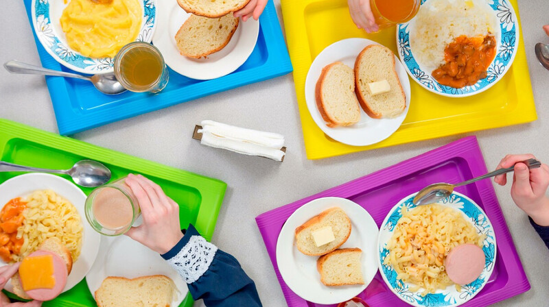 Более 20 млн тенге необоснованно выплатили поставщикам школьного питания в области Жетысу