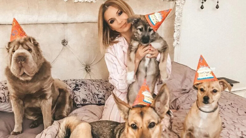 Шымкентским зооволонтёрам оказала помощь ведущая "Дома-2"