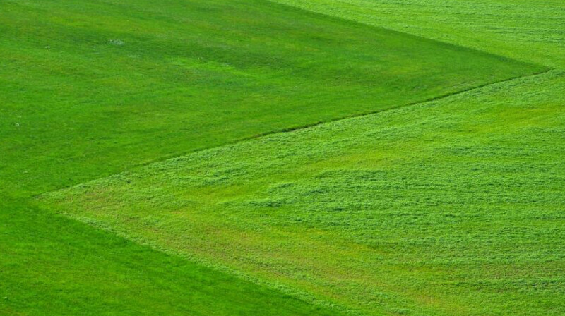В области Абай государству вернули более 17 тысяч гектаров земли