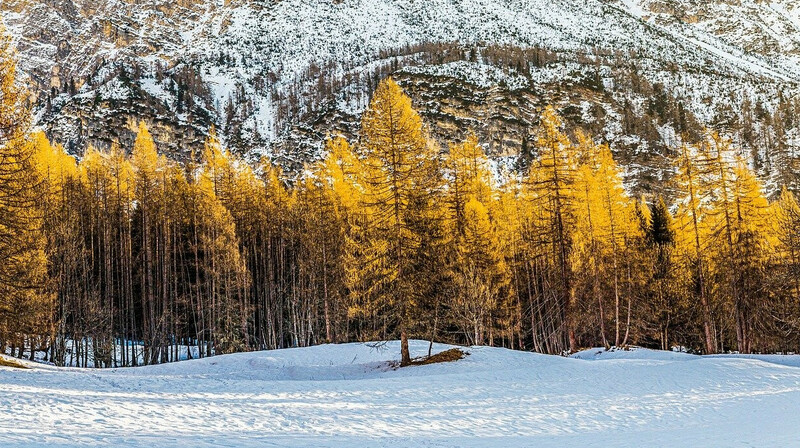 Зима не отступает: прогноз погоды в Казахстане на 12 марта