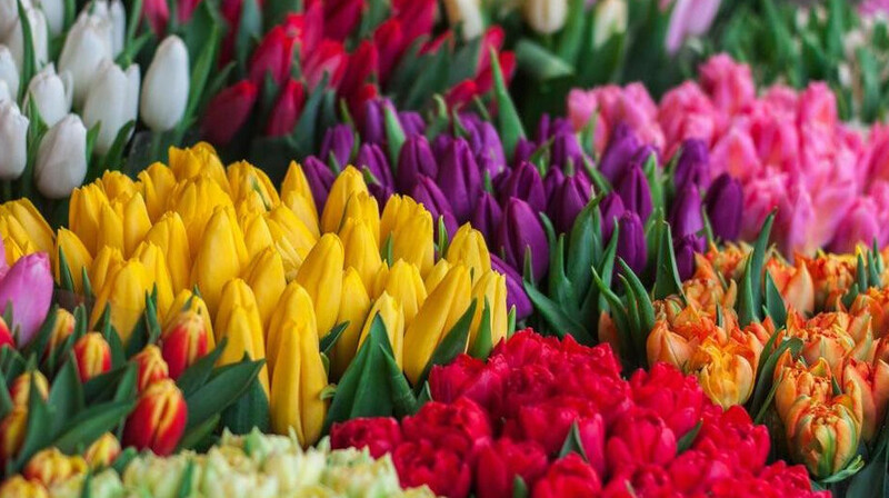 В России депутат обвинил мужчин, подаривших цветы девушкам на 8 марта, в финансировании ВСУ