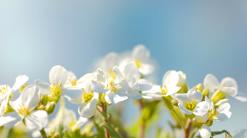Погода на 18 марта в Казахстане