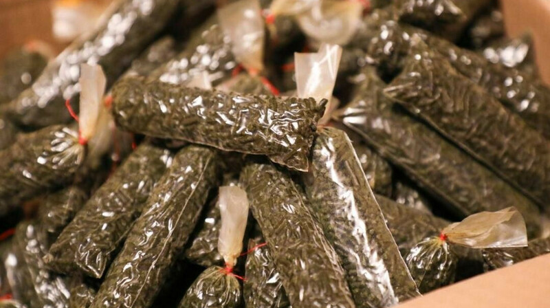 Подпольный цех по производству насвая "накрыли" в Астане