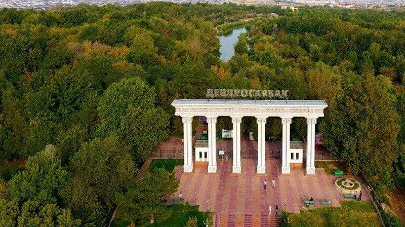 8 тыс. деревьев погибло в дендрологическом парке Шымкента