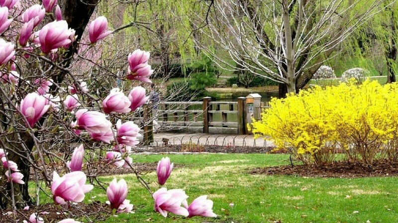 На севере - дождь со снегом, на юге - жара: прогноз погоды на 2 апреля