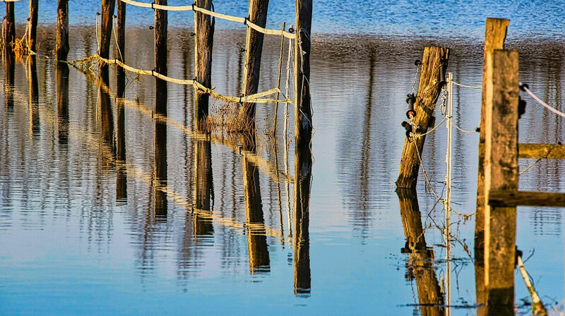 1360 домов остаются затопленными в шести регионах Казахстана