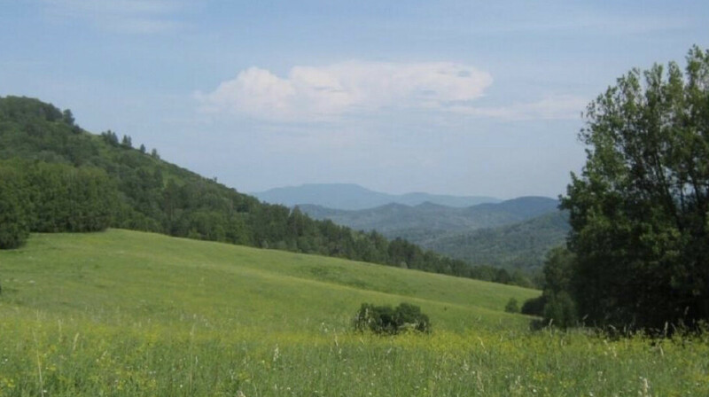 Земли на 2,4 млрд тенге вернули в Павлодарской области