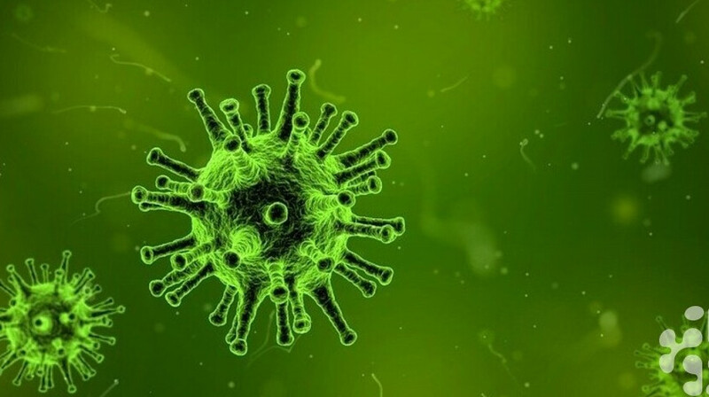 Сотрудников акиматов наказали за халатность в сфере ветеринарии в Актобе