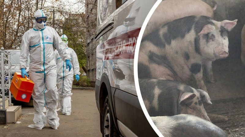 В ЗКО в результате паводка вскрылись могильники сибирской язвы