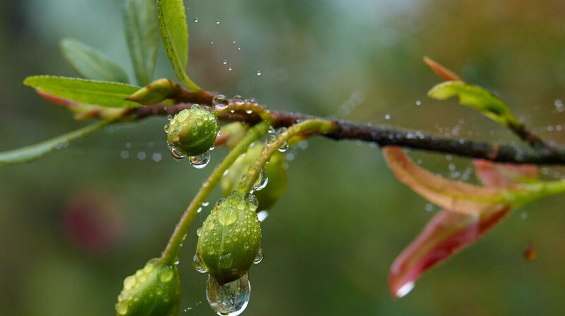 Прогноз погоды в Казахстане на 11 апреля