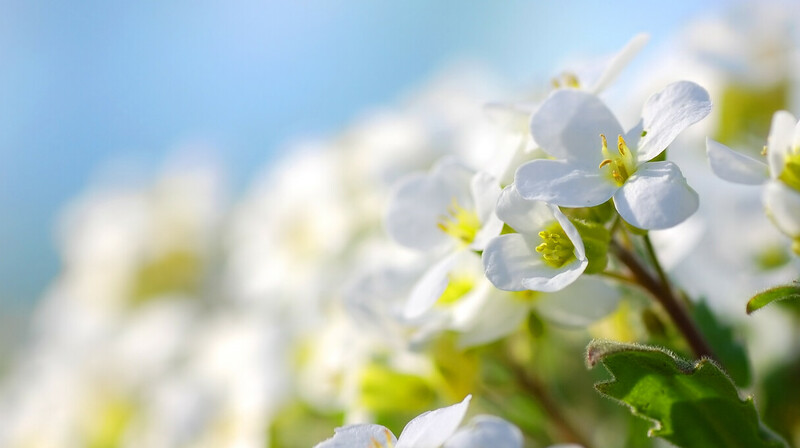 Прогноз погоды на 13-15 апреля предоставили синоптики