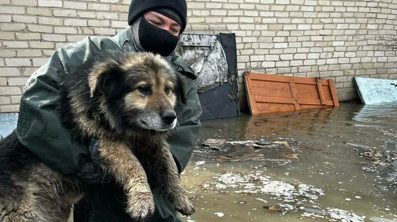 Более 2 тысяч человек за ночь спасли из затопленных зон Казахстана
