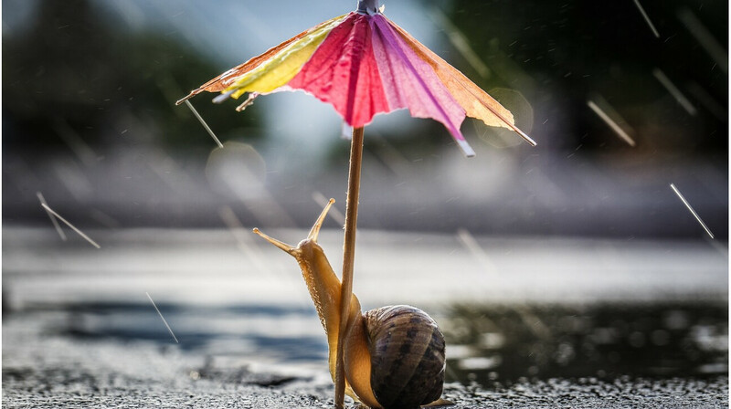 Прогноз погоды в городах Казахстана на 16 апреля