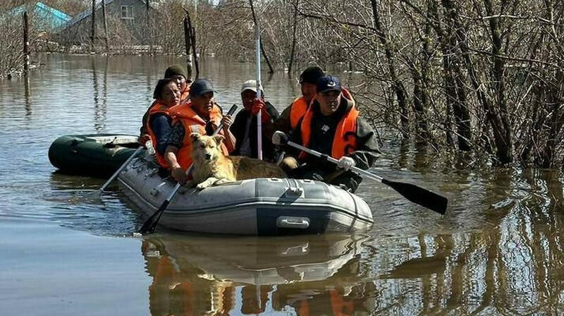 Паводки в Казахстане: более 18 тысяч человек вернулись в свои дома