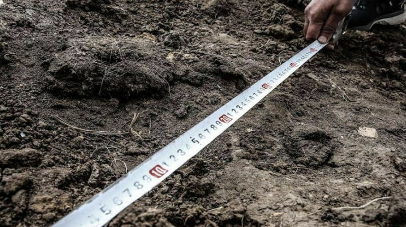 Почти 5 тысяч гектаров земли вернули государству в Жамбылской области