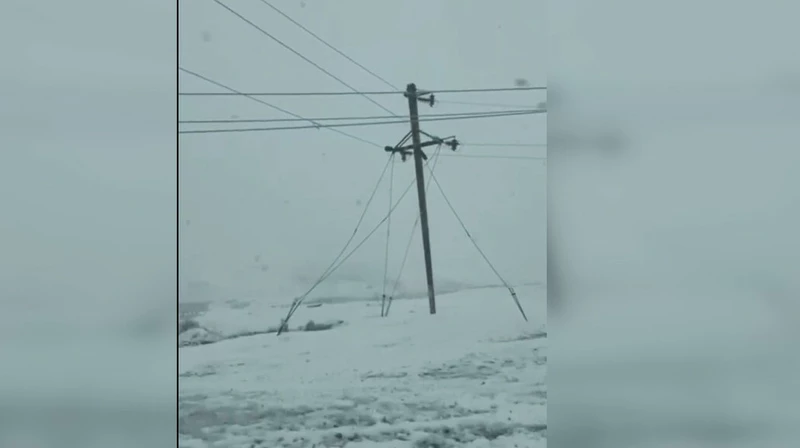 27 апреля снег в жамбылской области