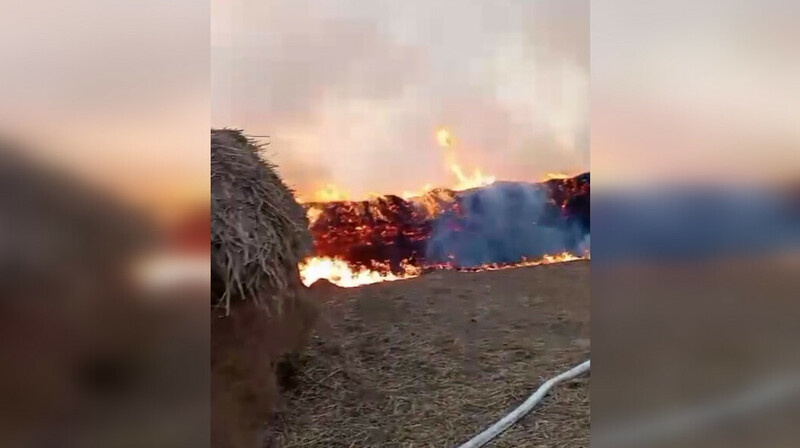 Около 250 тонн сена загорелось в Атырауской области. ВИДЕО