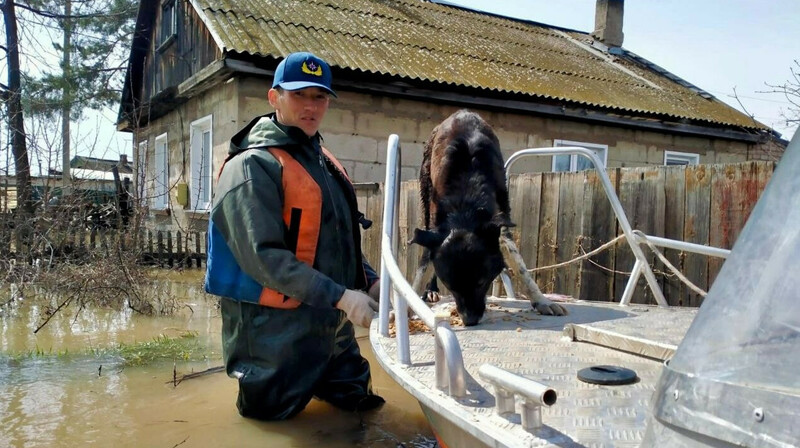 Паводки в Казахстане: воду откачали из более 6 тысяч домов