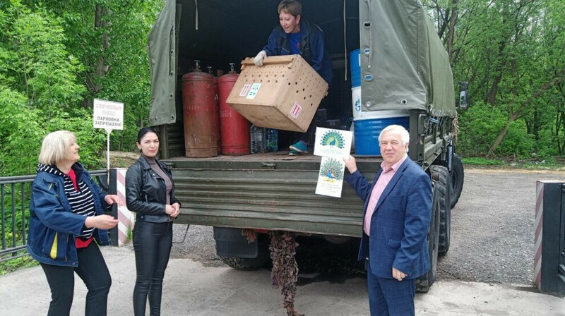 Липецкий зоопарк отправил на войну павлинов