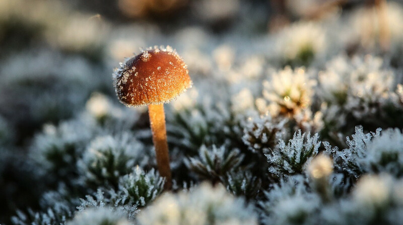 Заморозки, ветер и грозы: в каких регионах Казахстана объявлено штормовое предупреждение