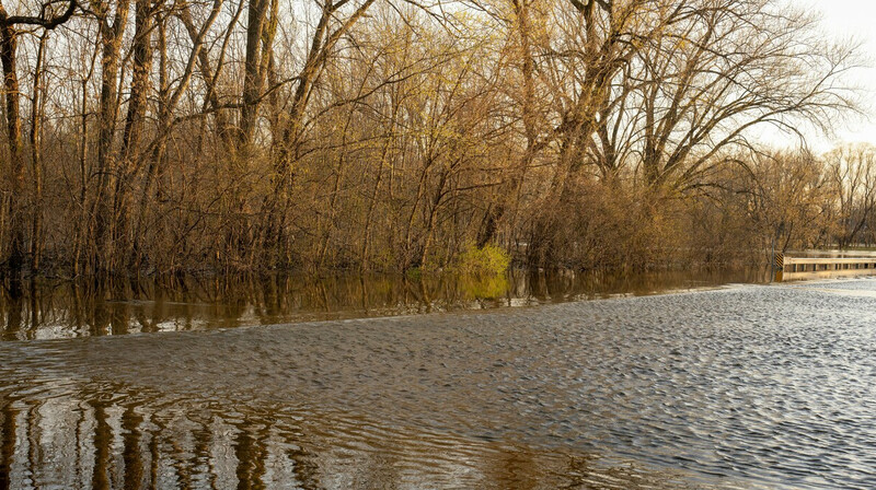 Возведение дамб и откачка воды: что происходит в подтопленных участках Казахстана