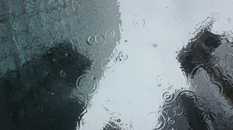 Заморозки, дождь и туман ожидают казахстанцев 11 мая