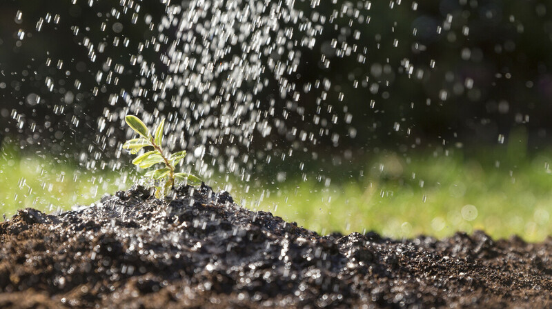 Казахстан получит 922 миллиона кубометров воды из Узбекистана к поливному сезону