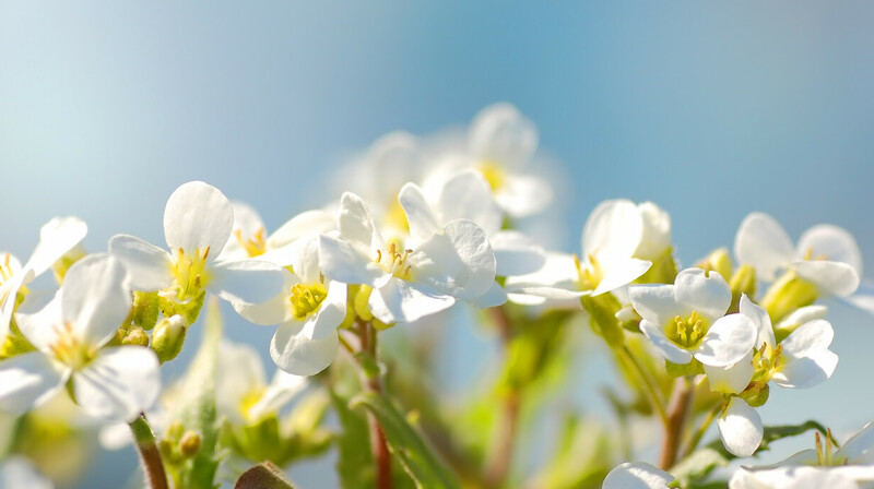Прогноз погоды на 13 мая в Казахстане