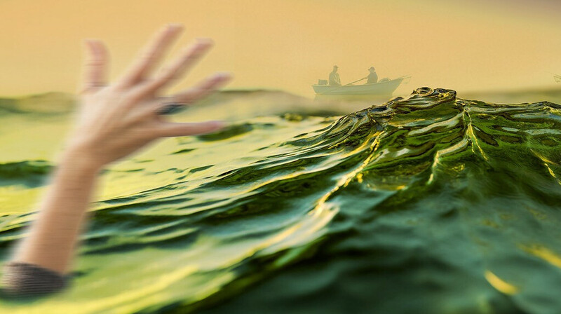 В Семее нашли тело пропавшей месяц назад девушки