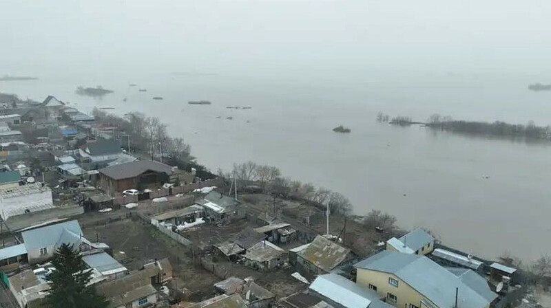 До конца мая жителям Кульсары выплатят компенсации за погибший от паводков скот