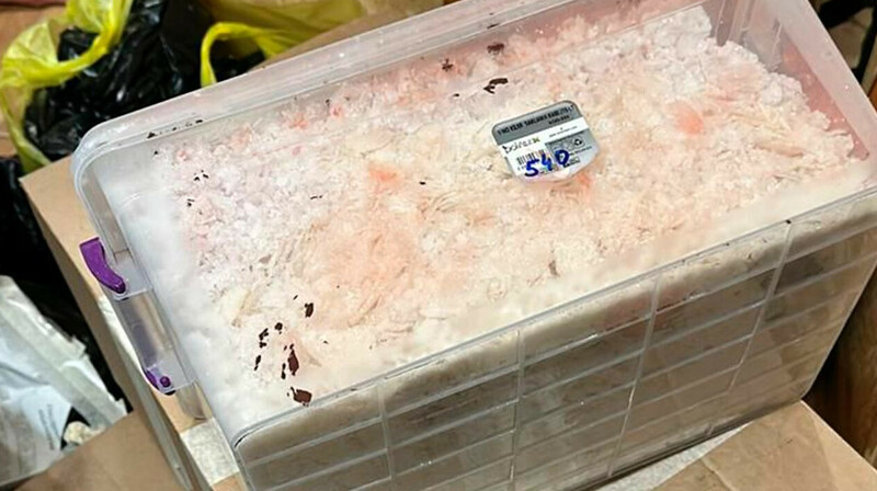 КНБ ликвидировал крупную подпольную нарколабораторию