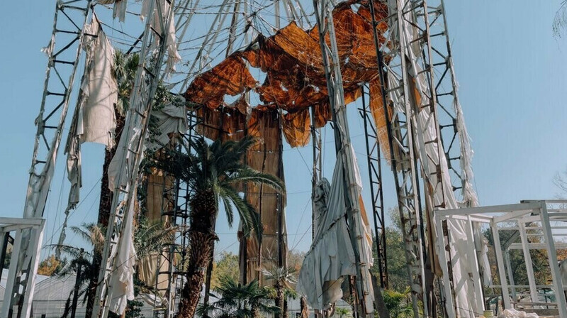 Уникальная коллекция растений алматинского ботсада под угрозой