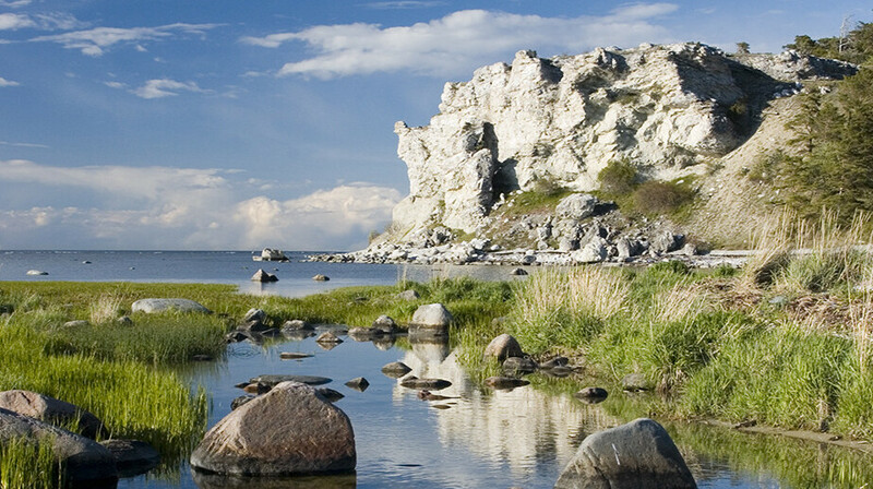 "Балтийское море не должно стать игровой площадкой Путина" - глава армии Швеции