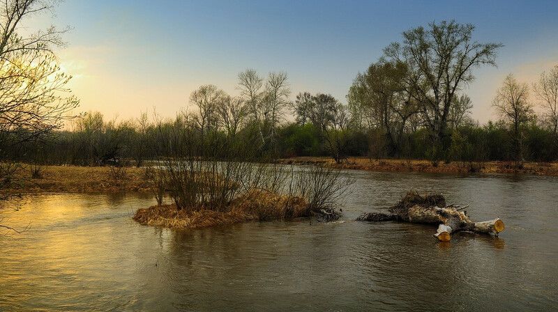 Спасатели откачали воду из более 2,5 тыс. дачных участков в ЗКО