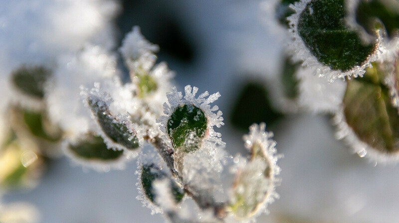 Дожди и заморозки ожидают казахстанцев 24 мая
